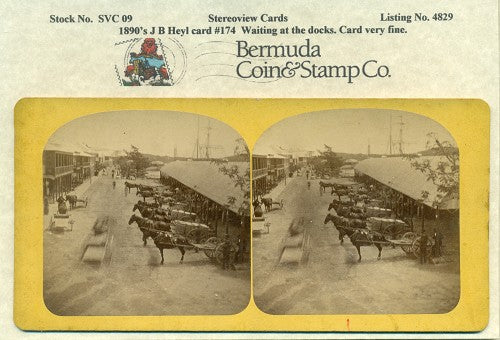 Stereoview Card 1890's J.B. Heyl #174