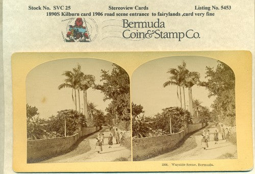 Stereoview Card SVC25