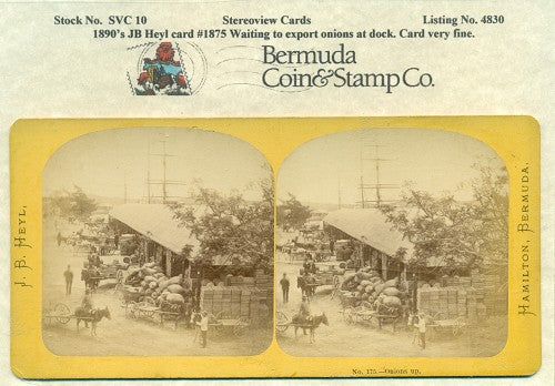 Stereoview Card 1890's J.B. Heyl #1875