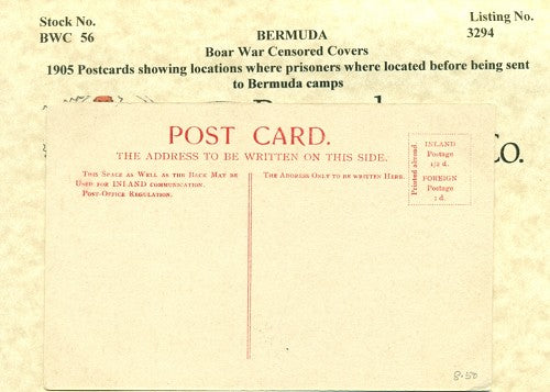 1905 Postcard lot