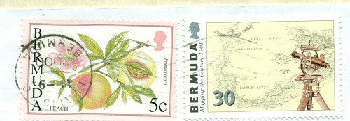 Postmark Error September 11, 2000