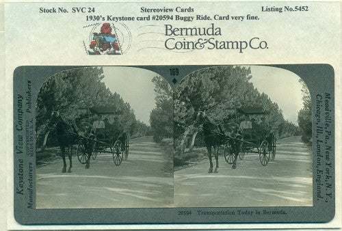 Stereoview Card SVC24