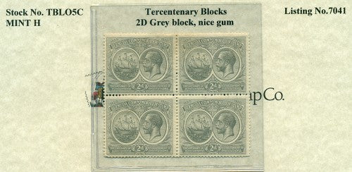 2d grey - mint h nice gum T-BL 05C