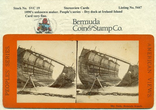 Stereoview Card SVC19