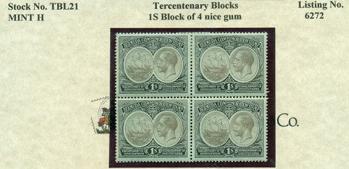 1s mint T-BL 21