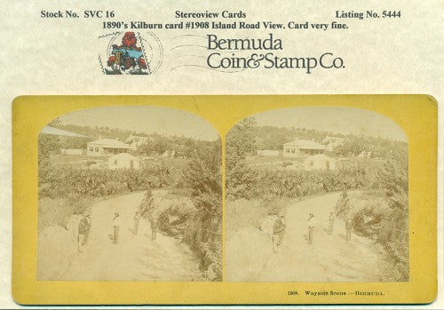 Stereoview Card SVC16