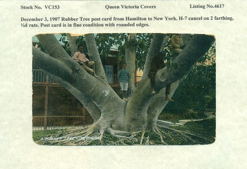 Queen Victoria Cover-153