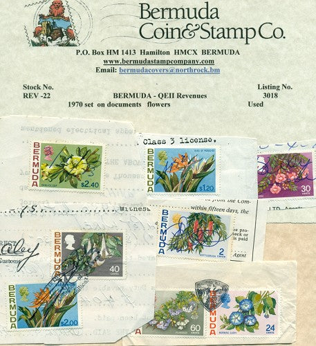Set of flowers on pieces