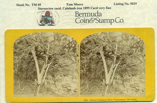 Tom Moore TM05