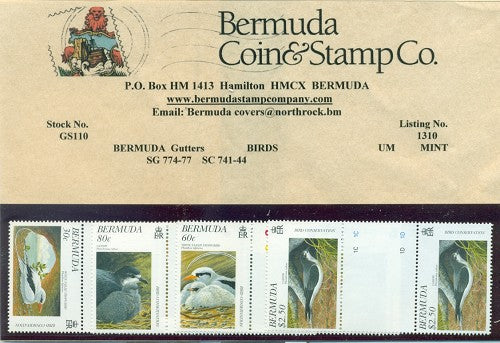Birds