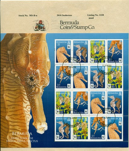 2010 Seahorses - used
