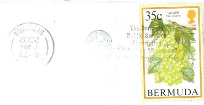 Postmark Error June 7, 2002
