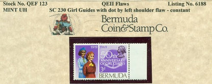 QEII Flaws QEF 123