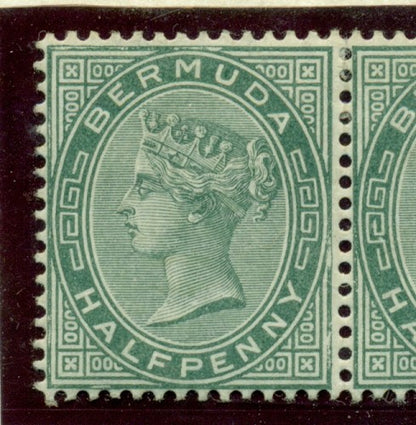 Queen Victoria Flaws Spotty frame SG-21 QVF 20