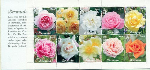 2014 Booklet Roses M