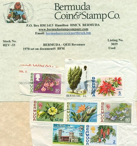 lot of flowers