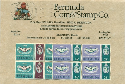 1965 International Co-Op Year