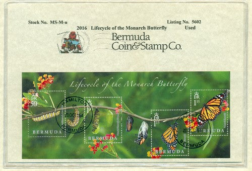 2016 Butterflies  Used