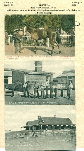 1905 Postcard lot