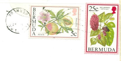 Postmark Error November 14, 2000